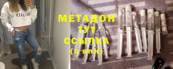 сатива Няндома