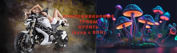 гашик Абдулино