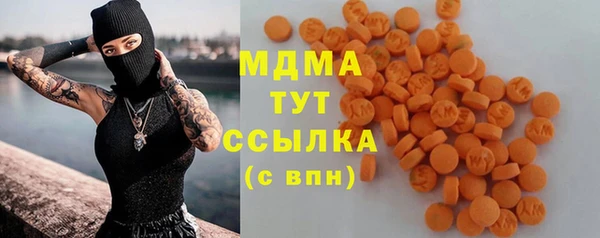 сатива Няндома