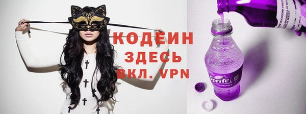 сатива Няндома