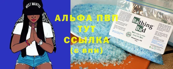 сатива Няндома