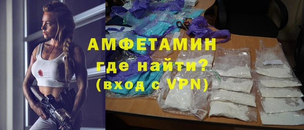 сатива Няндома